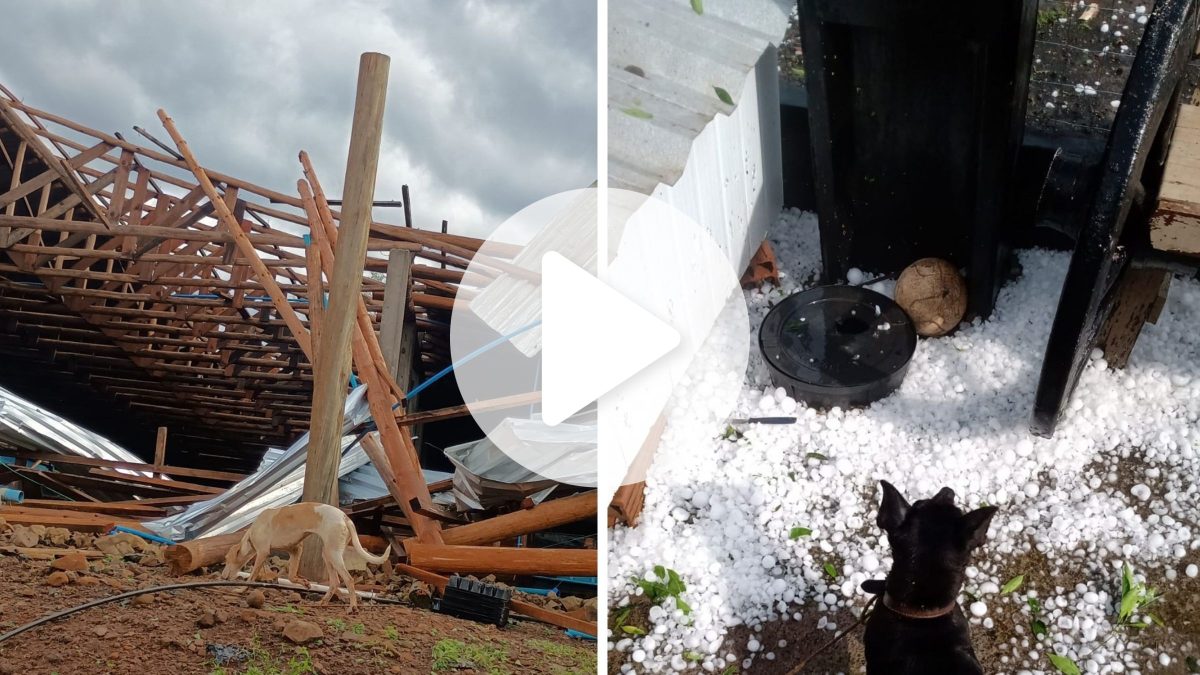 VÍDEO: Granizo e temporal deixam quase mil moradias atingidas e levam cidades de SC a decretar situação de emergência