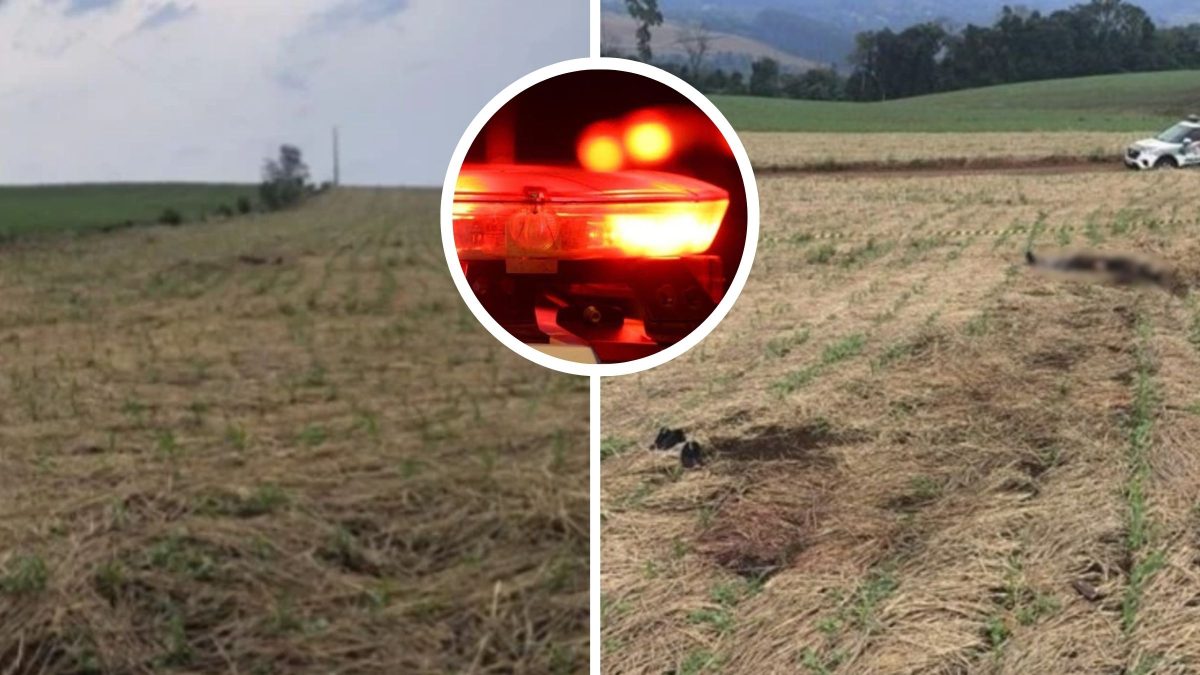 Briga e ameaça em festa de comunidade teriam motivado morte de homem achado em lavoura no interior de SC