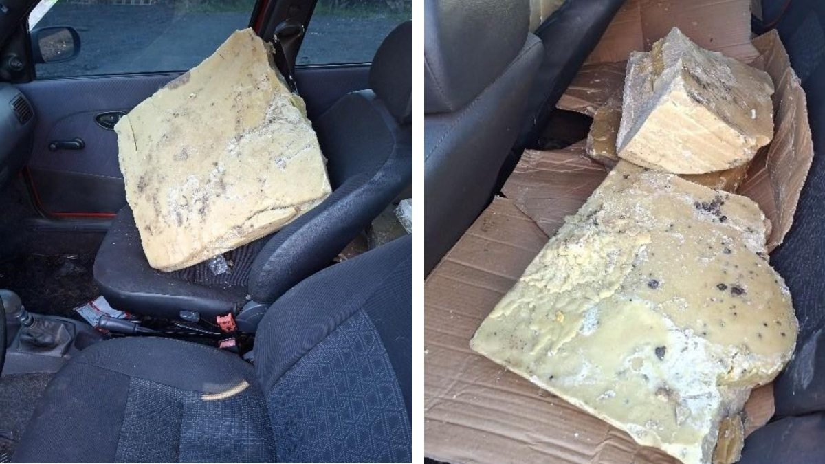 Homem surpreende policiais com carga ‘inusitada’ e proibida de 130 kg de cera de abelha em SC - QTU Questões do Universo