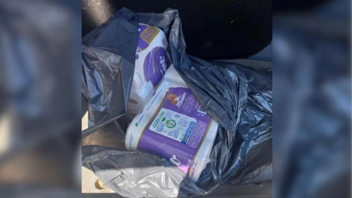 Funcionária de escola é flagrada furtando 32 rolos de papel higiênico em Santa Catarina