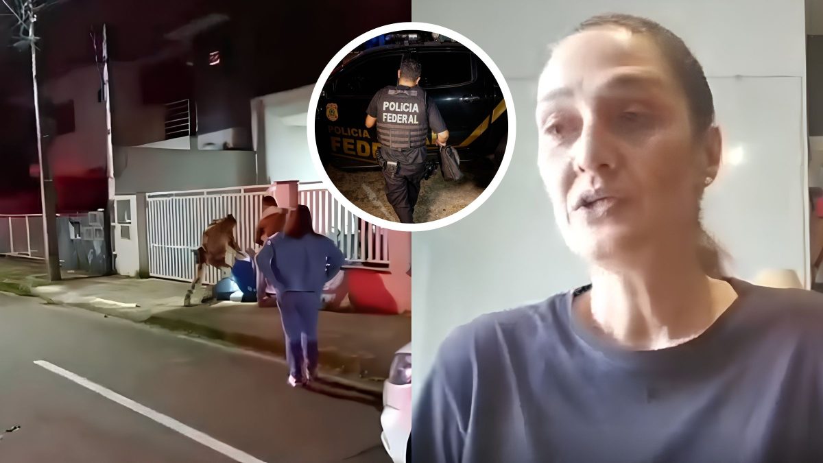 PF abre inquérito para investigar abordagem policial contra candidata ao Senado atingida por balas de borracha em SC