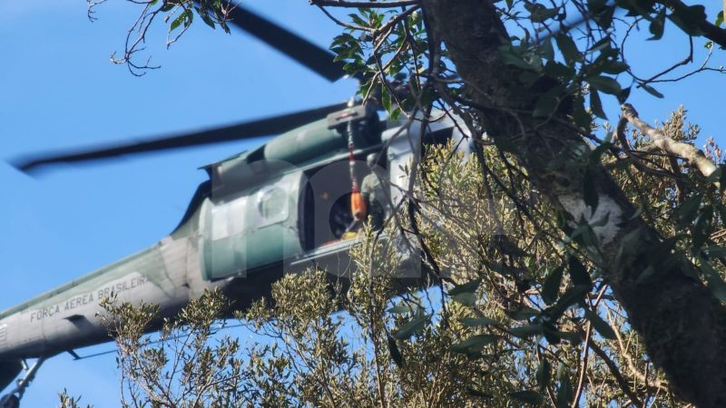 Destroços da aeronave que caiu com o cantor Rick e outras 4 pessoas na Serra catarinense - ND Mais