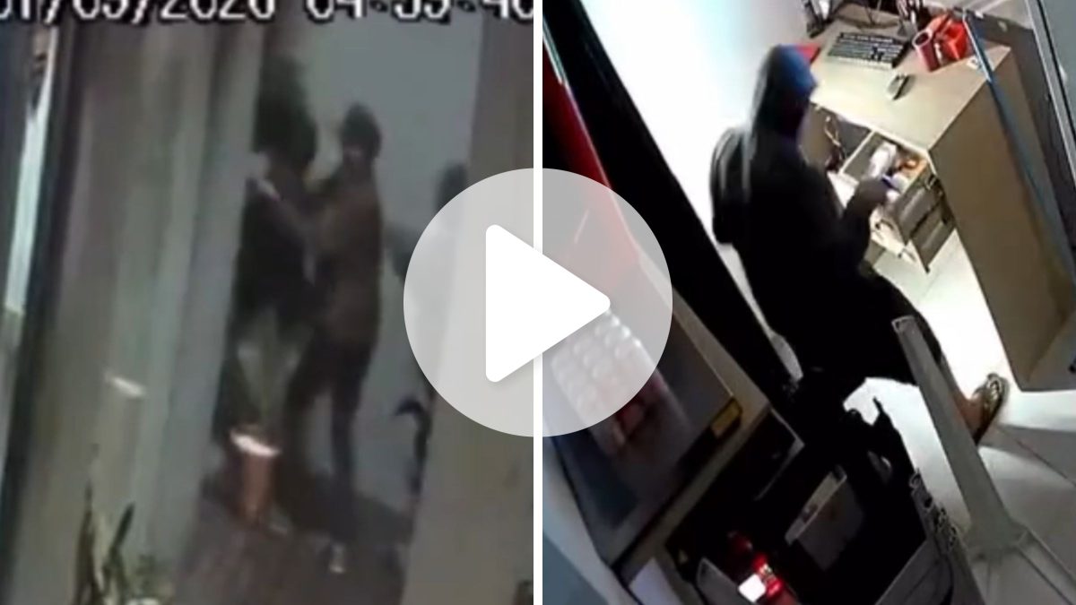 Após ser roubado pela décima vez, CEO de rede de cachorro quente de SC dá dica para diminuir prejuízo com invasões - QTU Questões do Universo