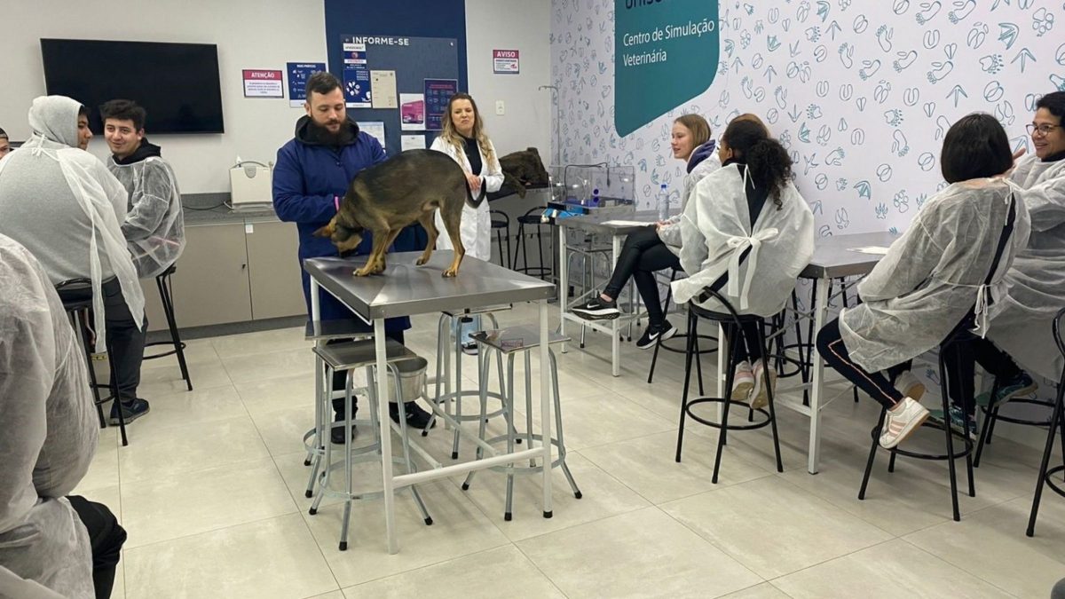 ‘Test-drive’ de carreiras: evento em Joinville usa robôs e IA para estudantes testarem profissões de graça