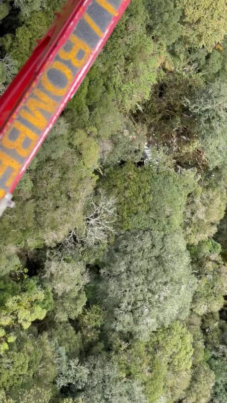 Imagens feitas do alto mostram os destroços do helicóptero com o cantor Rick em meio à mata fechada na Serra de Santa Catarina - video-destrocos-helicoptero-rick-mata-urubici-sc.mp4