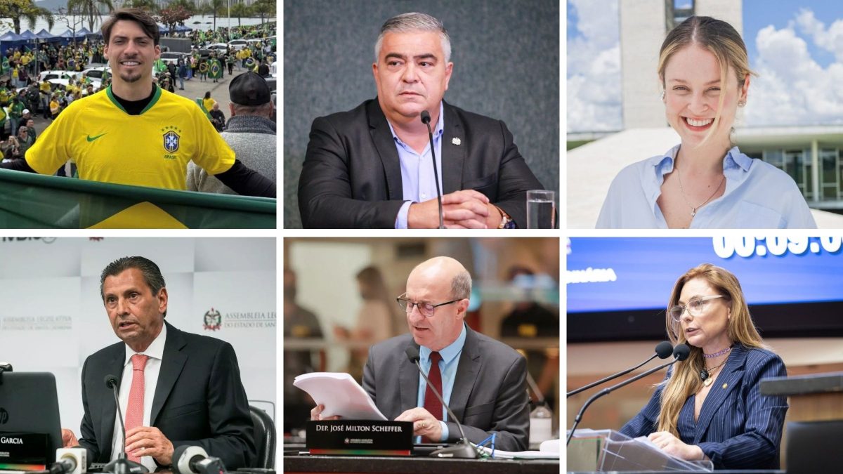Seis deputados federais eleitos em SC ocuparão a vaga pela primeira vez; veja quem são