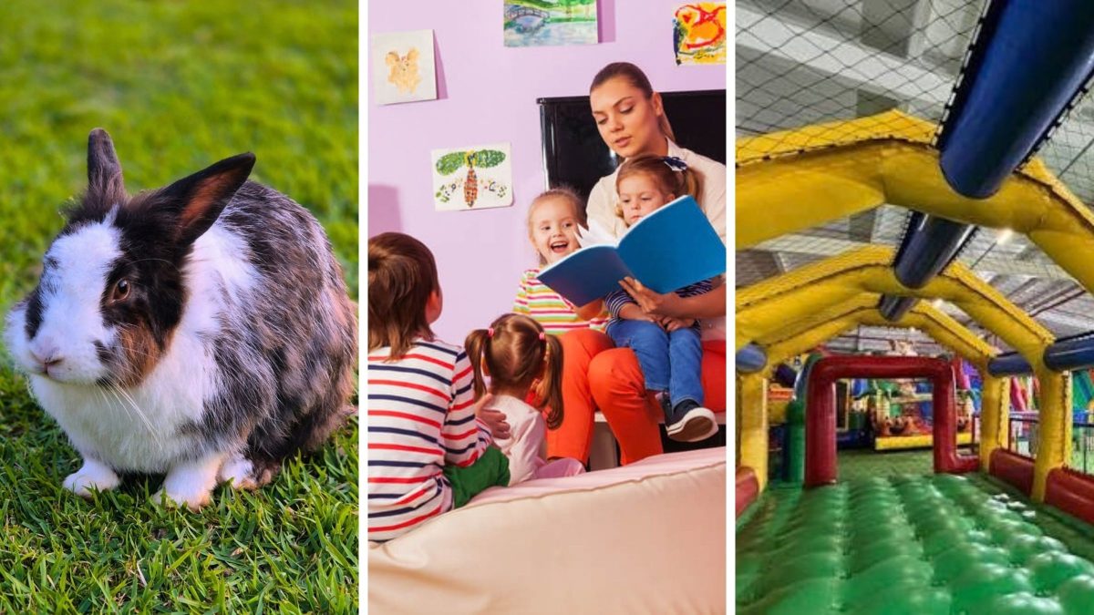 De coelhos a brinquedos infláveis: confira atrações gratuitas para aproveitar o Dia das Crianças na Grande Florianópolis