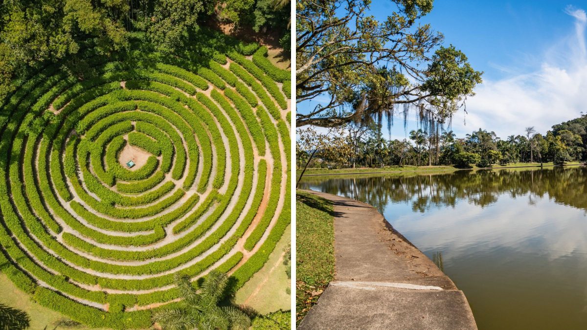 Com labirinto misterioso de ‘conto de fadas’ e 16 lagoas, parque em SC guarda paisagens que parecem cenário de filme