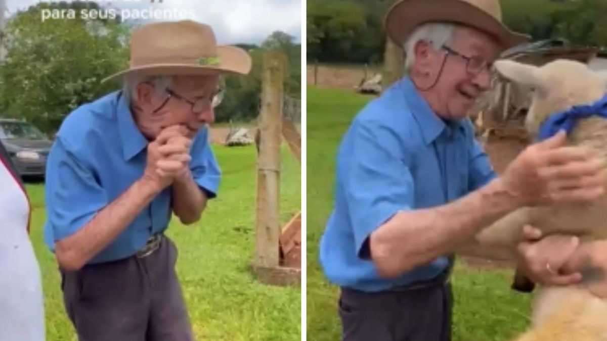 Idoso completa 93 anos, ganha casal de carneiros de presente de aniversário da fisioterapeuta e se emociona