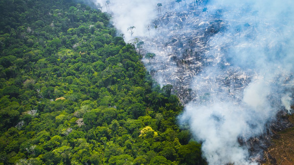 Fogo humano faz Amazônia despejar 1,47 bilhão de toneladas de CO₂ ao ano, deixando de ser considerada o ‘pulmão do mundo’