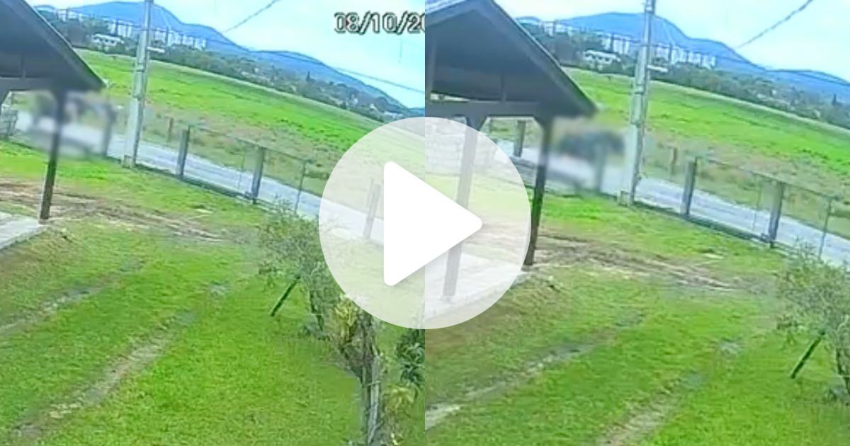 VÍDEO: Câmera flagra acidente em que um primo atropela o outro e os dois morrem em SC