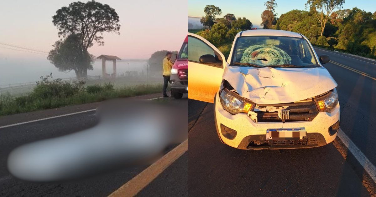 Carro com três ocupantes atropela e mata homem de 53 anos na BR-282, em SC