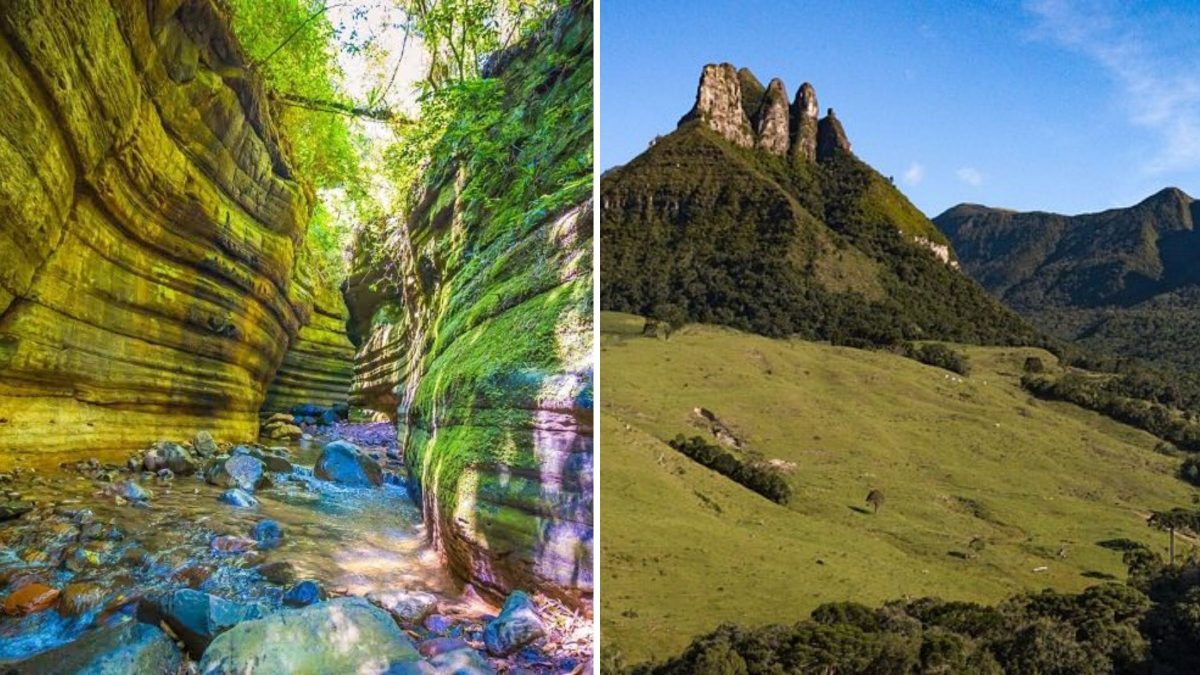 Da rota indígena do pinhão a fóssil de 200 milhões de anos: o passado pré-histórico escondido em cidade cercada por cachoeiras na Serra catarinense