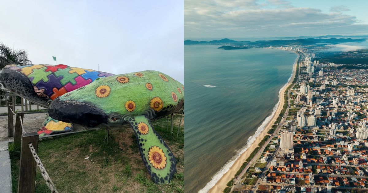 Baleias coloridas que viraram cartão-postal de praia de SC são retiradas após risco à segurança de crianças