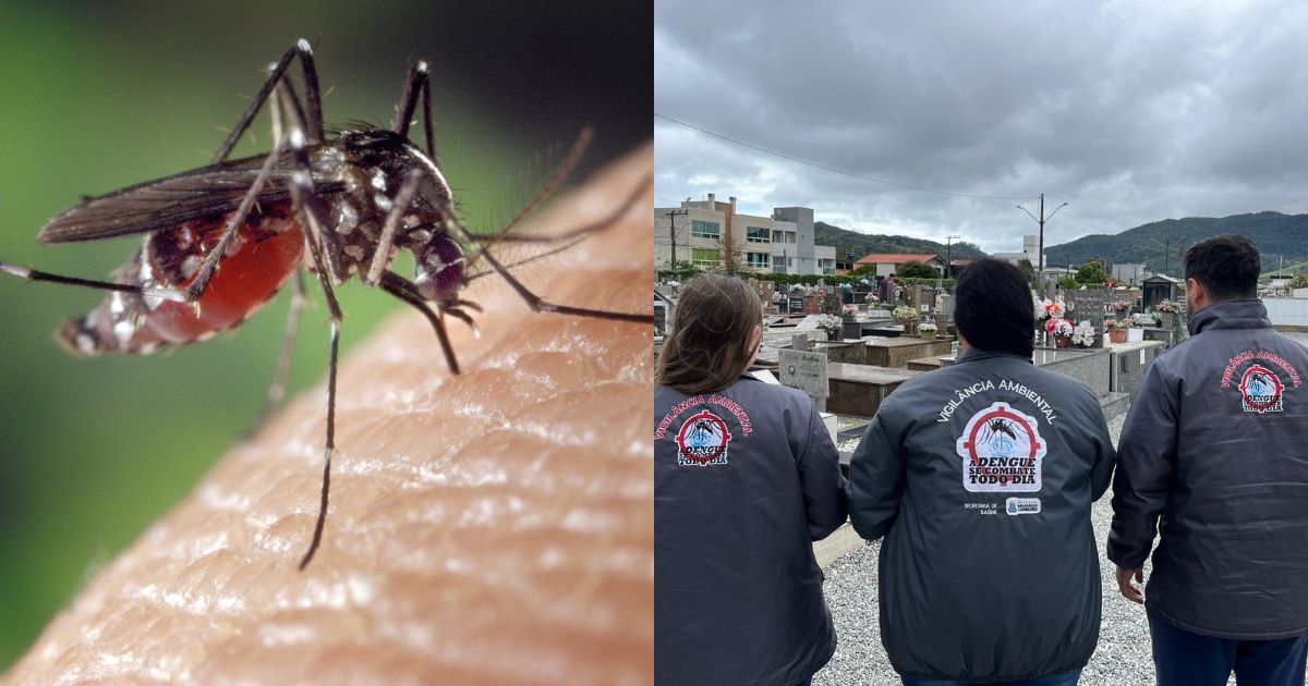 De 7 mil para 12: a estratégia que zerou mortes e reduziu em quase 100% os casos de dengue em Balneário Camboriú