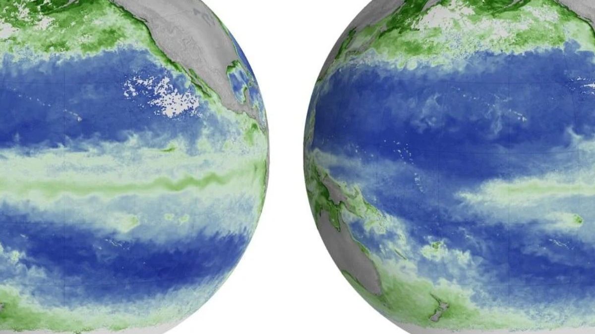 El Niño está mudando a cor do Oceano Pacífico, e NASA registra elevação do mar de até 40 centímetros