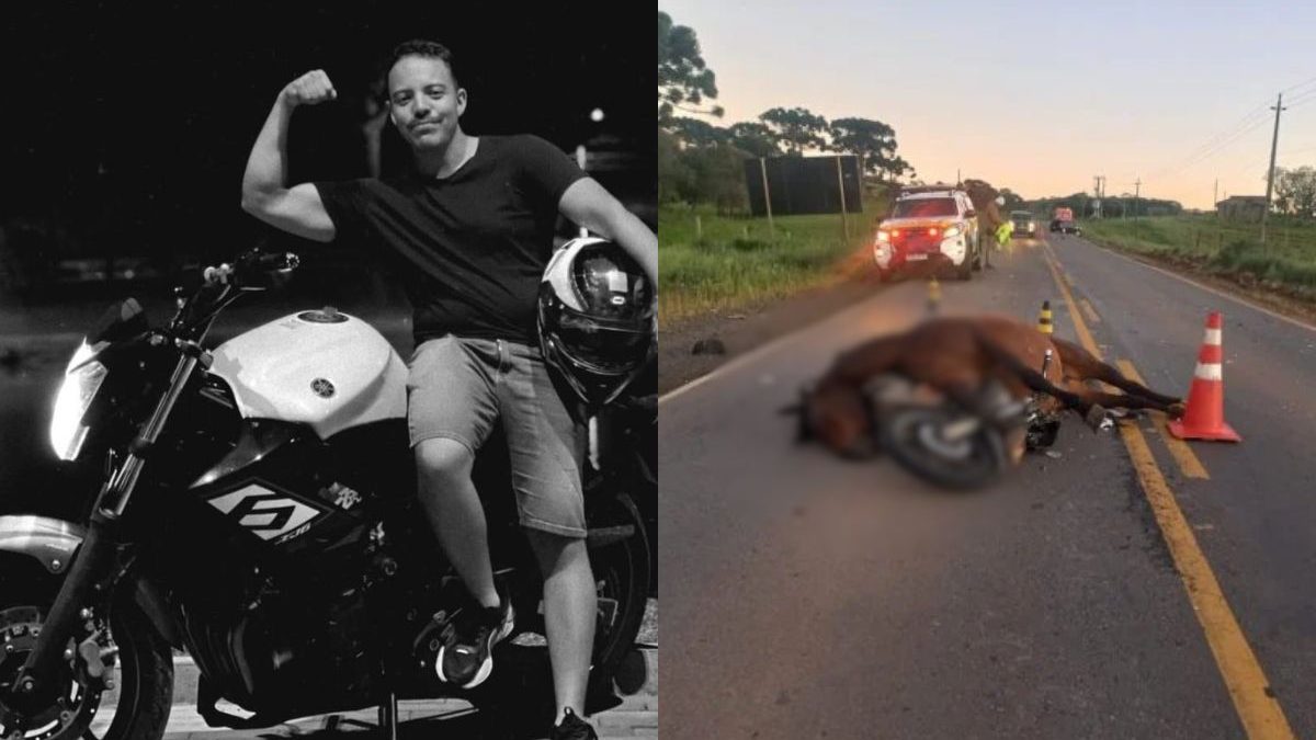 Empresário de 23 anos morre em acidente de moto após cavalo invadir rodovia em SC