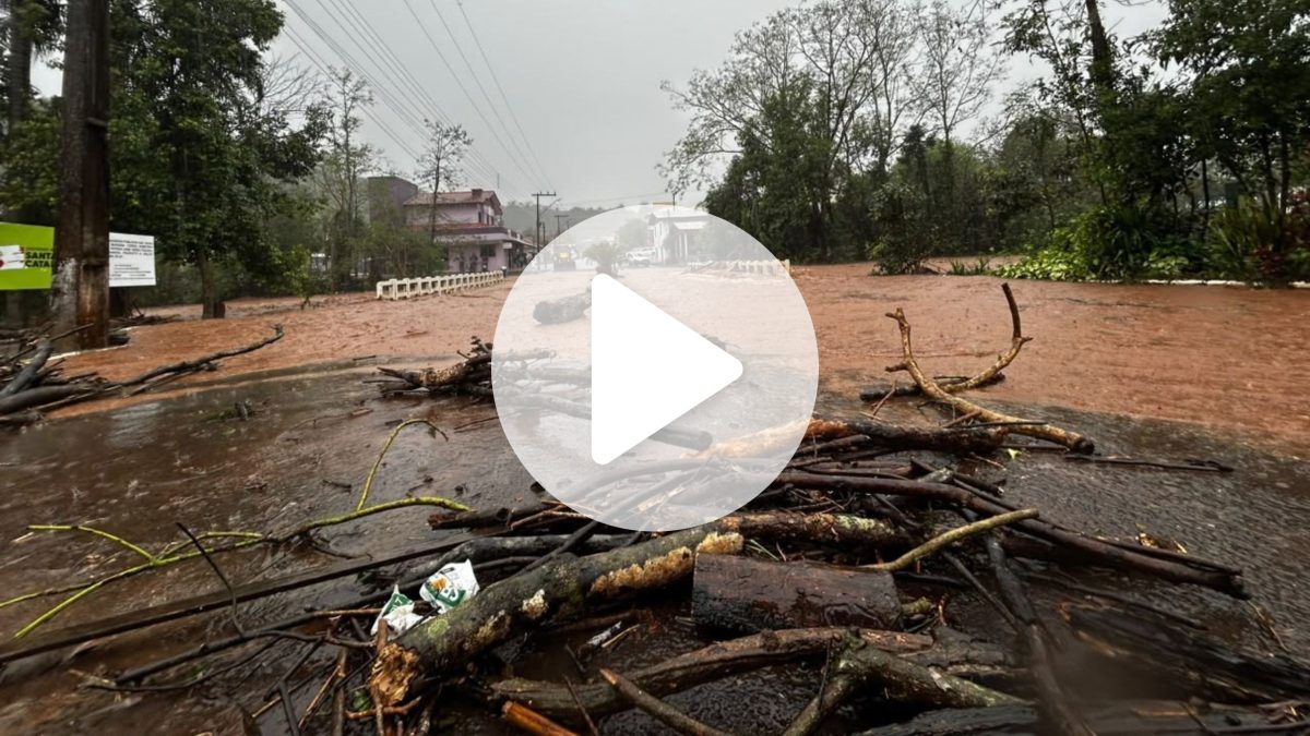 VÍDEO: 100 mm de chuva em uma hora transformam ‘ruas em rios’ e cobrem pontes em SC