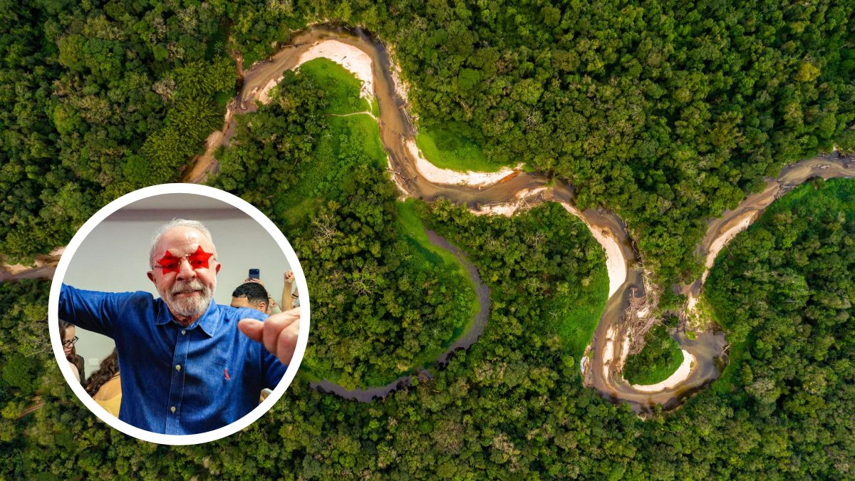 Após reeleição de Lula, Holanda promete US$ 500 milhões para preservar florestas tropicais brasileiras