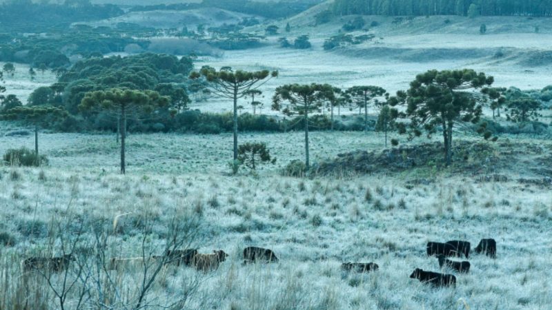 Frio deve persistir até o final de outubro - Marllon Legnaghi/GovSC/ND Mais