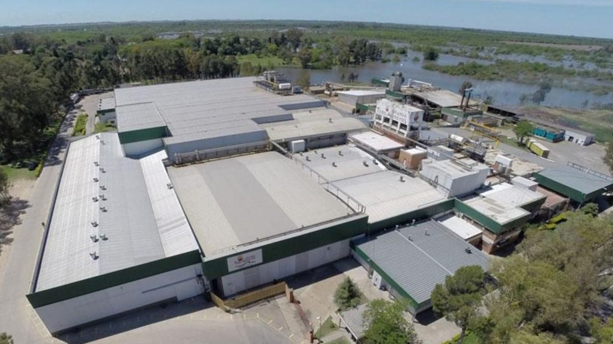 Gigante que j liderou produo de frango na Argentina co | Economia | QTU Notícias