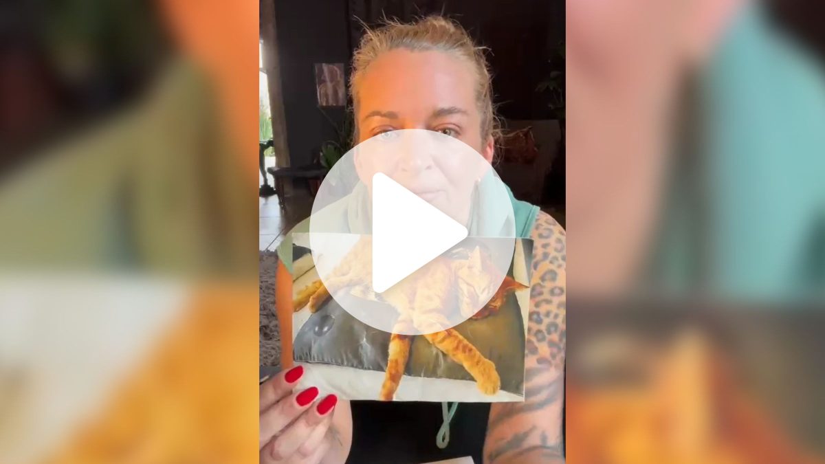 Mãe oferece R$ 5 mil para recuperar gato desaparecido do filho de 8 anos em SC: ‘Ele acorda toda madrugada chorando’