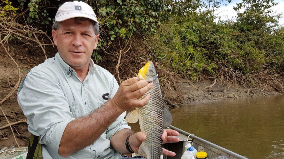 Morre aos 62 anos engenheiro florestal que atuou na preservação da Mata Atlântica e da Rota das Cachoeiras em SC