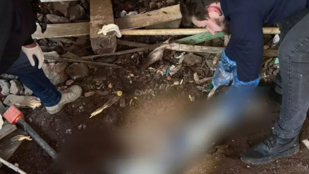 Traficantes são condenados por matar cliente que roubou celular do local para trocar por drogas em SC