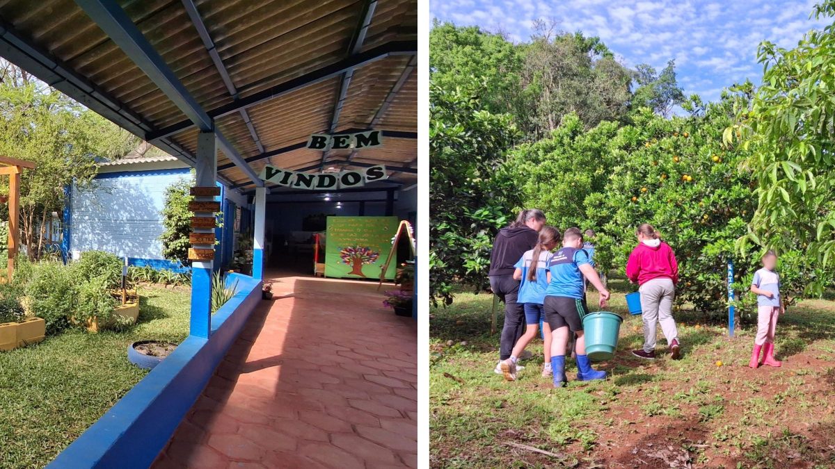 Com horta, pomar e animais, escola de município com 3 mil habitantes vira exemplo de educação e não registra evasão em SC