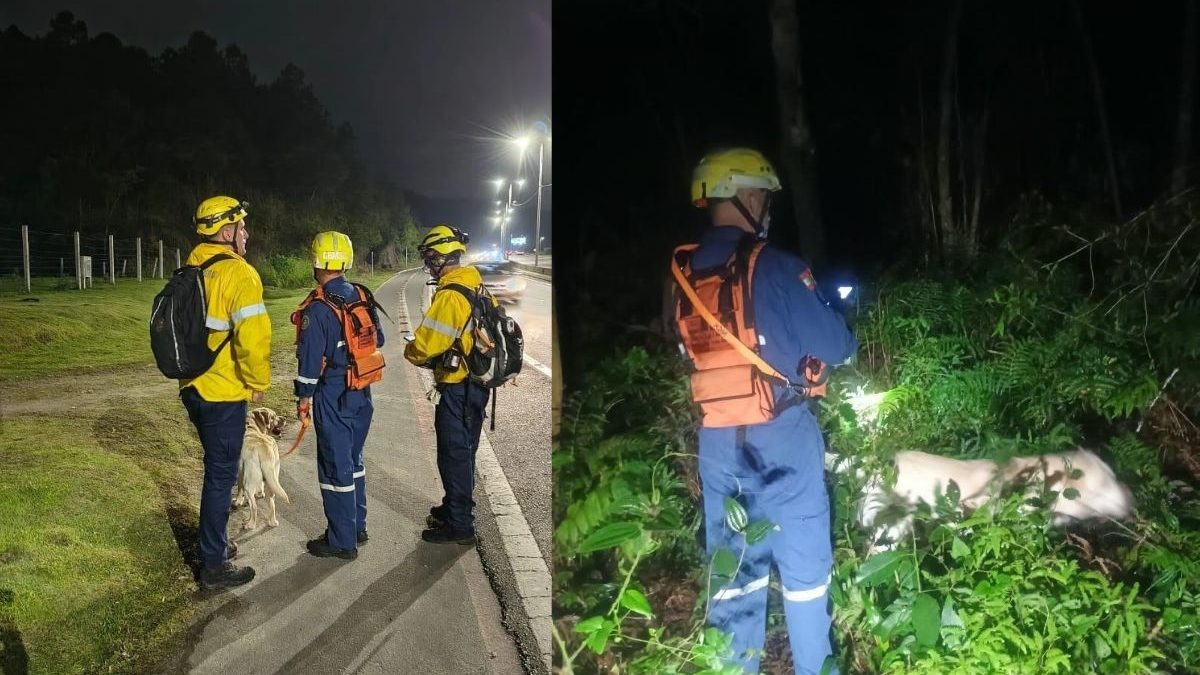 Homem de 51 anos desaparece e bombeiros criam força-tarefa com drones e cães em segundo dia de busca em SC - Foto