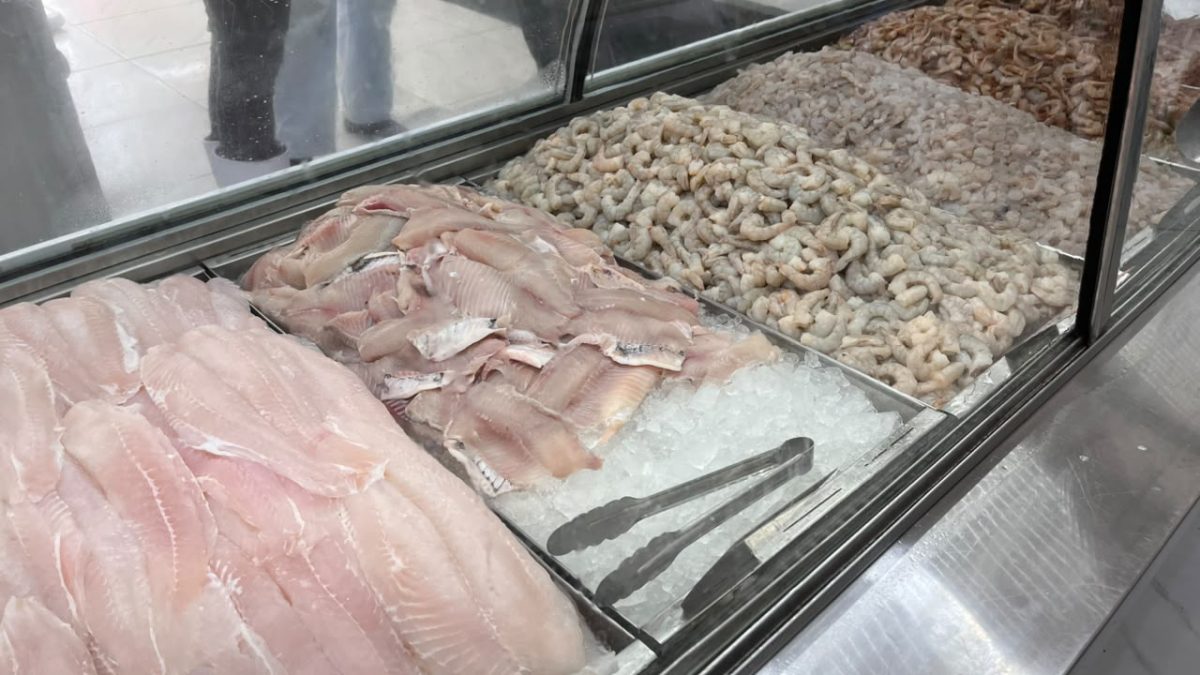 Mais de 10 toneladas de camarão e pescados são jogados no lixo e dono de peixaria é preso em nova operação que encontrou produtos vencidos em praias de SC