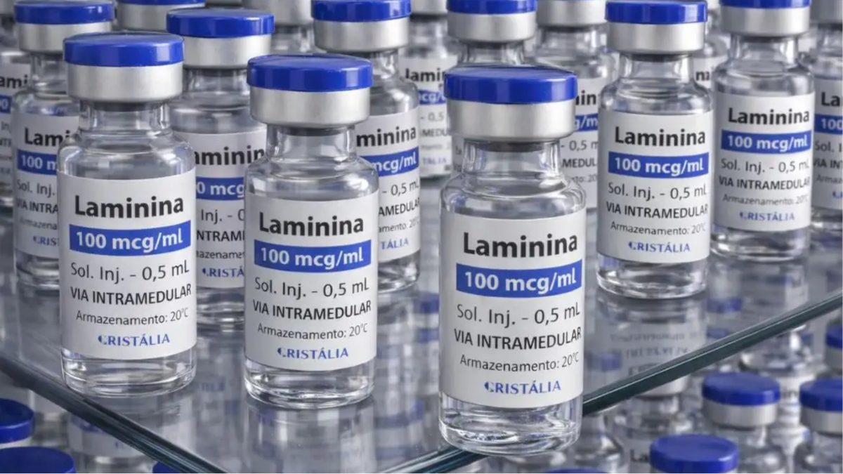 Polilaminina: Anvisa limita tratamento a lesões recentes na medula e decisão gera críticas de pesquisadora