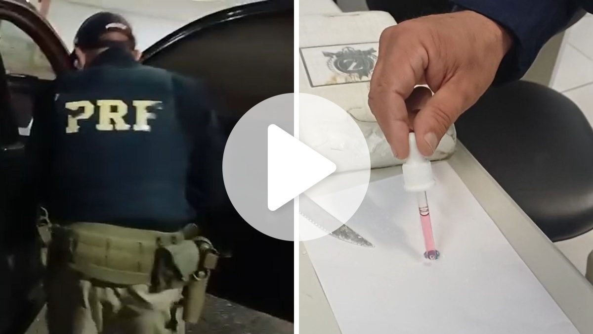 PRF aborda picape na BR-101 e descobre motorista com pacotes de cocaína e haxixe presos ao corpo enquanto dirigia em SC