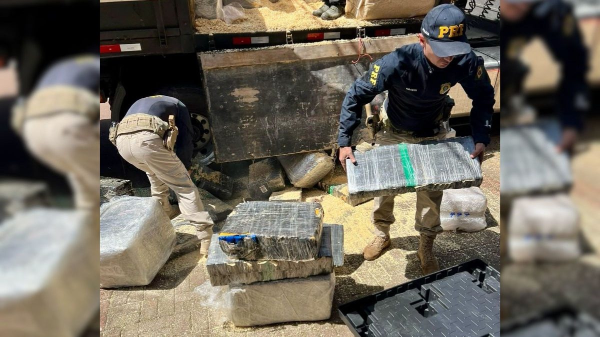 PRF fiscalizava freio de caminhão na BR-277, mas, ao abrir carga, agentes descobrem 2,6 toneladas de maconha escondidas em lascas de madeira