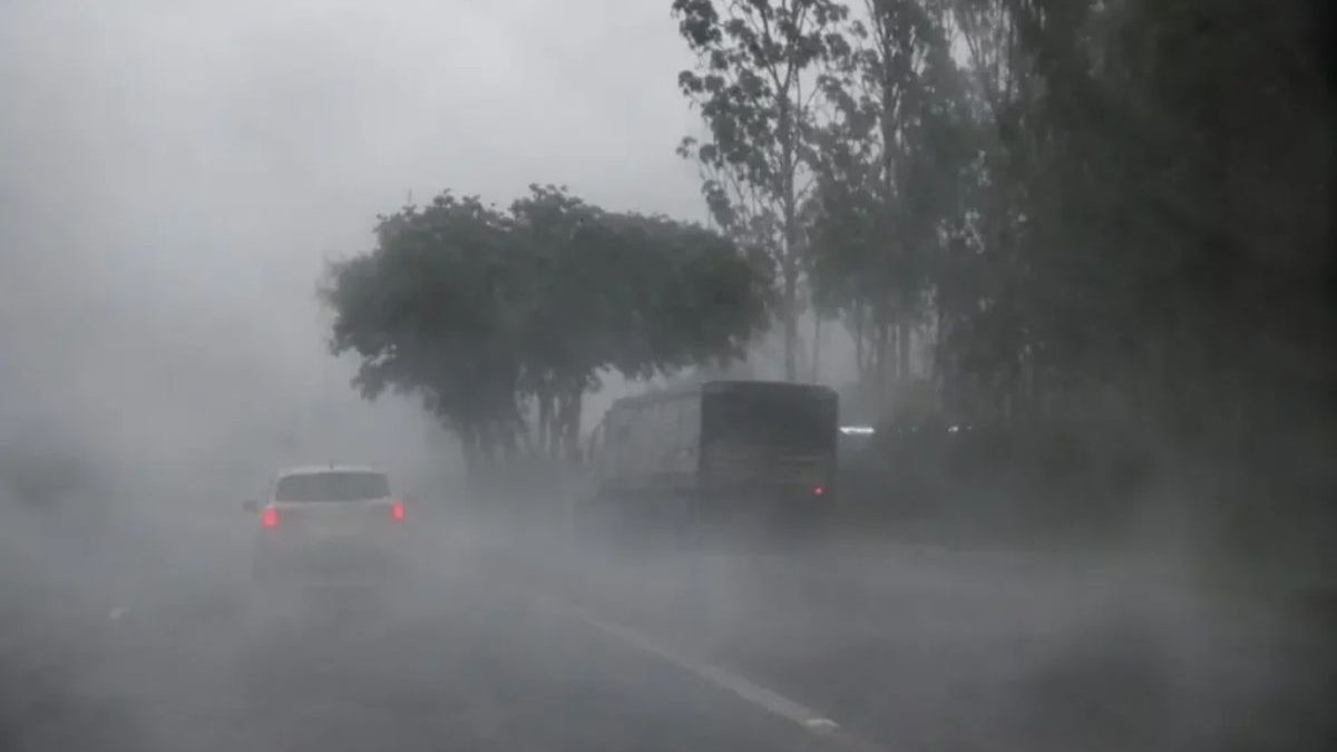 🚨 ALERTA-VIZINHO! Chuva de até 200mm e temporais no feriado de Finados