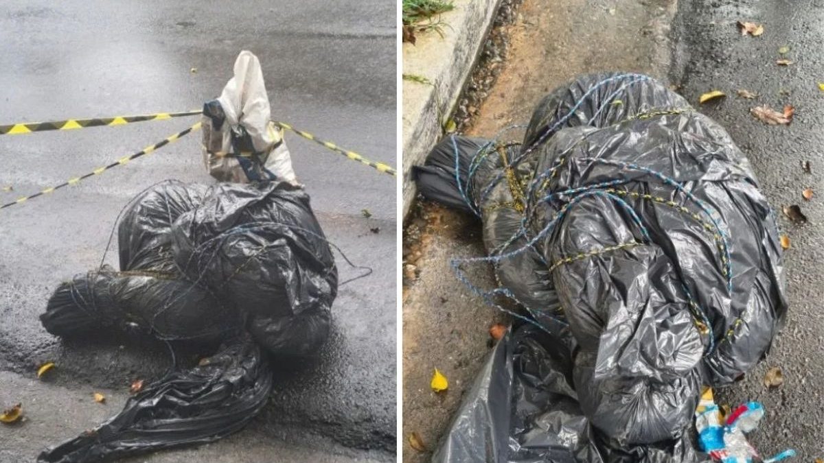 Cinco corpos dentro de sacos em menos de um mês fazem internet teorizar sobre possível ‘serial killer em SP’; o que a polícia diz