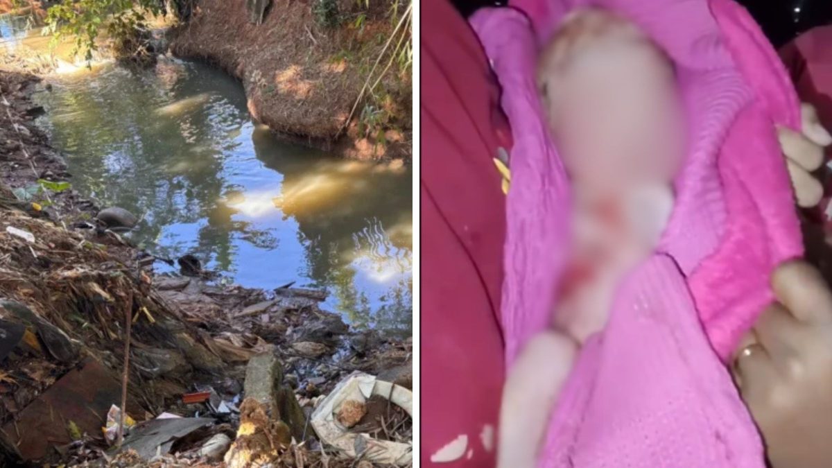 Vizinhos escutam ‘miado’, chamam pedreiro e recém-nascido é encontrado em meio ao lixo às margens de córrego em SP